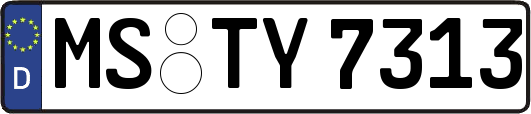 MS-TY7313