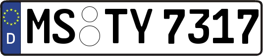 MS-TY7317