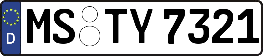 MS-TY7321