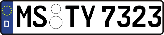 MS-TY7323