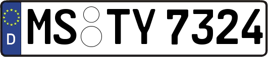 MS-TY7324
