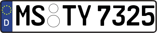 MS-TY7325