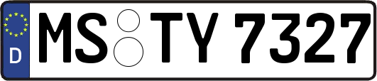 MS-TY7327