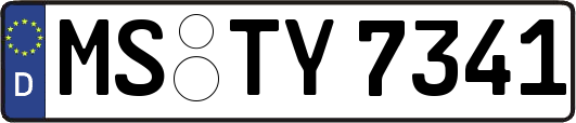 MS-TY7341