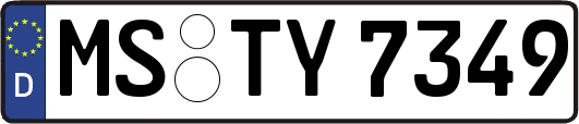 MS-TY7349