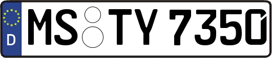 MS-TY7350