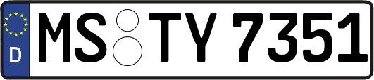 MS-TY7351