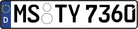 MS-TY7360