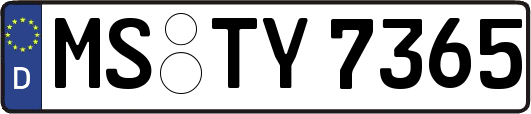 MS-TY7365