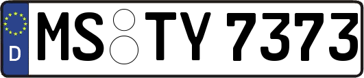 MS-TY7373