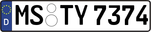 MS-TY7374