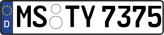 MS-TY7375