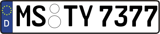 MS-TY7377