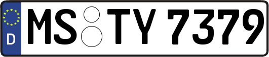 MS-TY7379