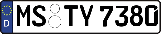 MS-TY7380