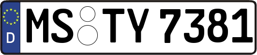 MS-TY7381