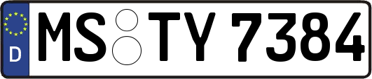 MS-TY7384
