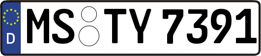 MS-TY7391
