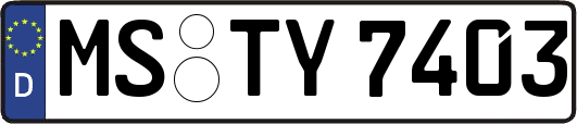 MS-TY7403