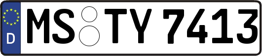 MS-TY7413