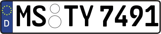 MS-TY7491