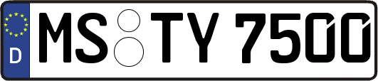 MS-TY7500