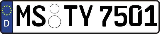 MS-TY7501