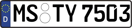 MS-TY7503