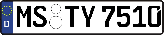 MS-TY7510