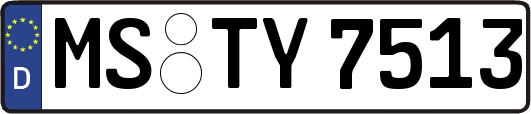 MS-TY7513