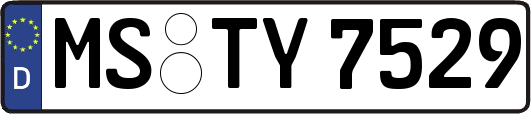 MS-TY7529