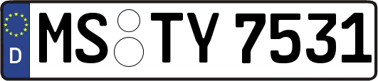 MS-TY7531