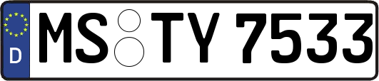 MS-TY7533