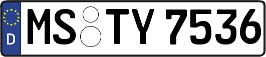 MS-TY7536