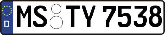 MS-TY7538