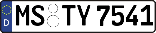 MS-TY7541