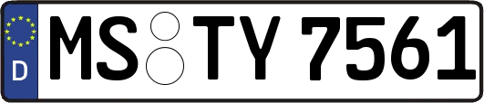 MS-TY7561