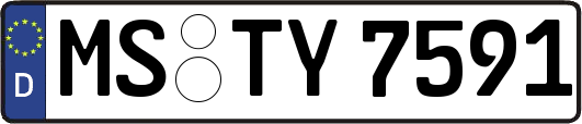 MS-TY7591