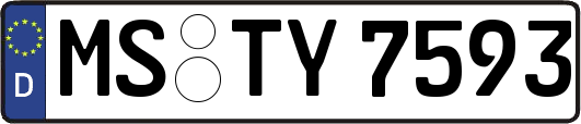 MS-TY7593