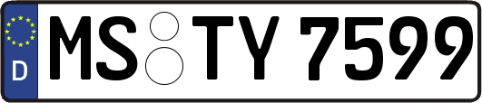 MS-TY7599