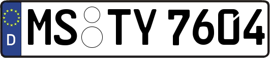 MS-TY7604