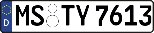 MS-TY7613