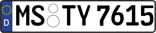 MS-TY7615
