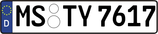 MS-TY7617
