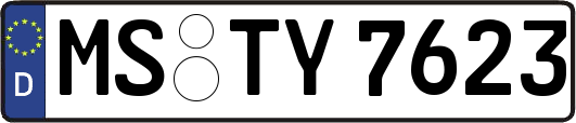 MS-TY7623