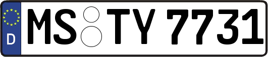 MS-TY7731