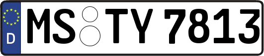 MS-TY7813