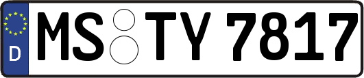 MS-TY7817