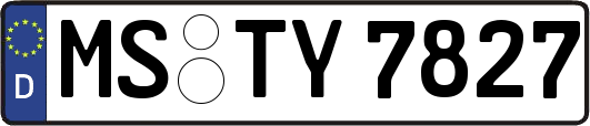 MS-TY7827