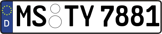 MS-TY7881